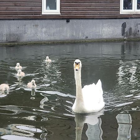 Lovely Canal Boat In Little Venice For Family & Friends لندن المظهر الخارجي الصورة