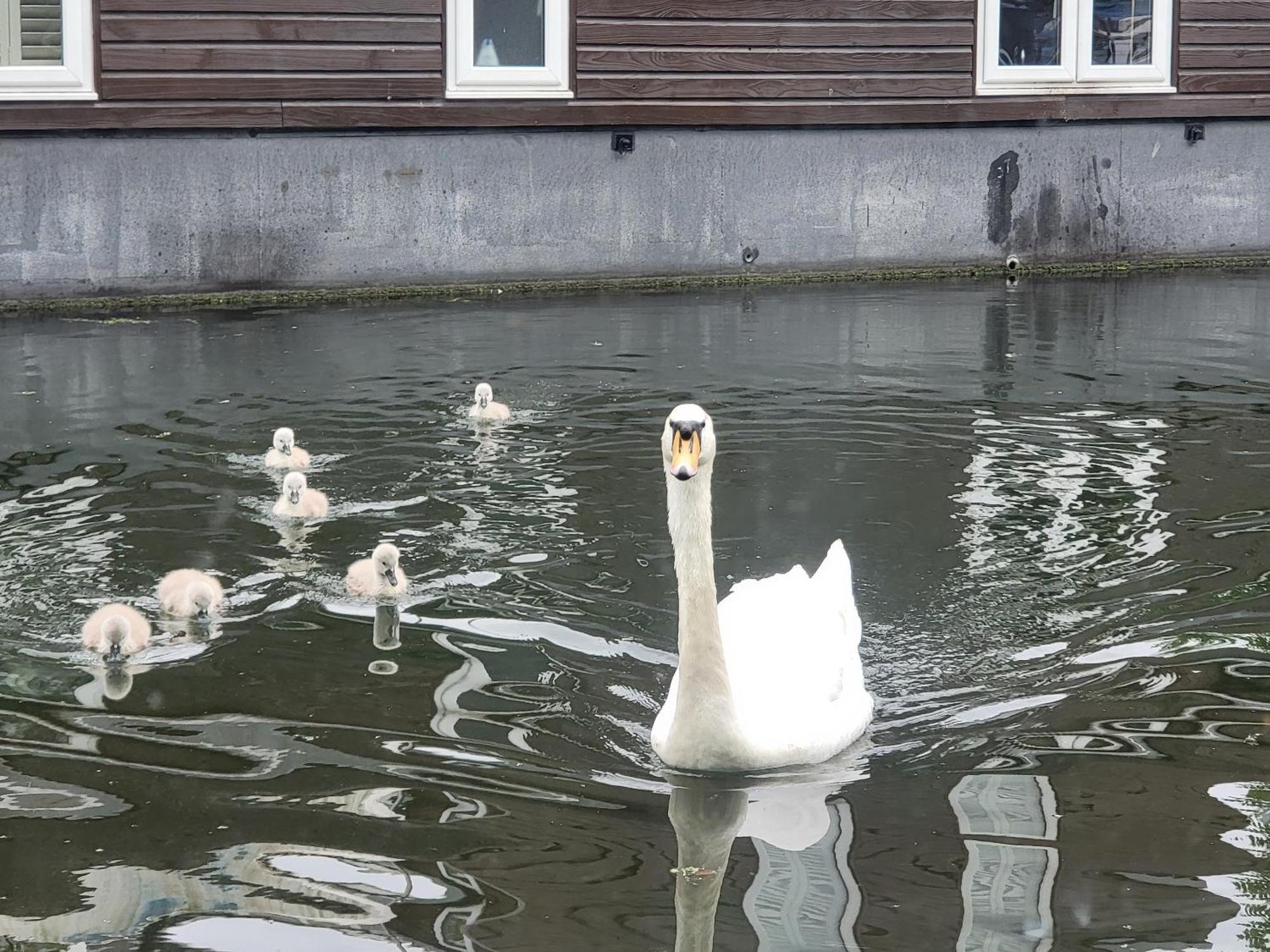 Lovely Canal Boat In Little Venice For Family & Friends لندن المظهر الخارجي الصورة
